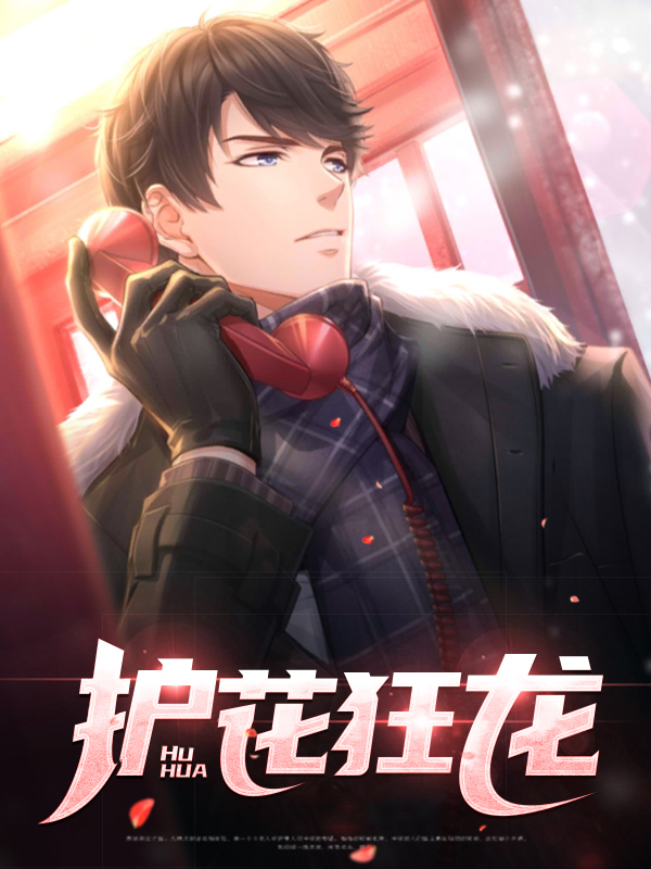 护花狂龙听书全集免费