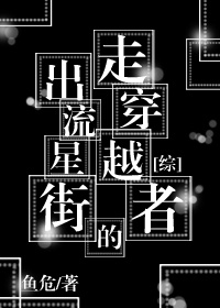 走出流星街的穿越者 鱼危