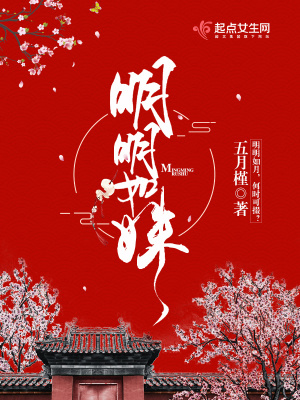 明明了了如如不动