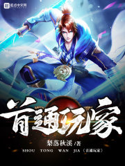 中国速通玩家