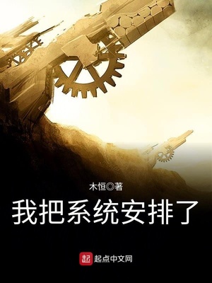 系统安排翻译