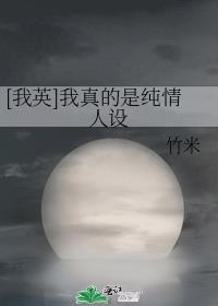 我真的是英雄