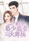 一胎五宝慕少追妻火葬场