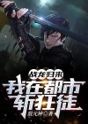 小说:战龙在都