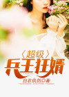 超级兵王狂婿 白衣执剑