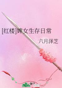 [红楼]婢女生存日常相见欢
