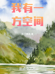 我有一方空间秋刀煮鱼笔趣阁