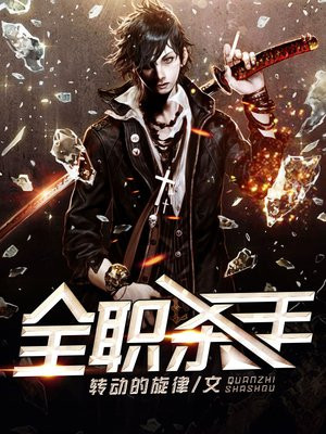 全职杀手国语高清完整版