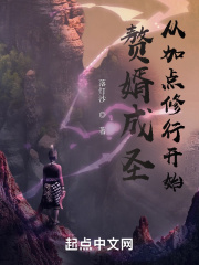 赘婿成圣:从加点修行开始TXT全集下载