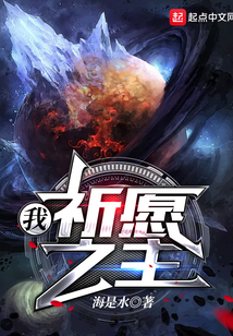 我祈愿之主TXT
