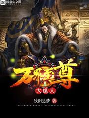 万界至尊大媒人 小说