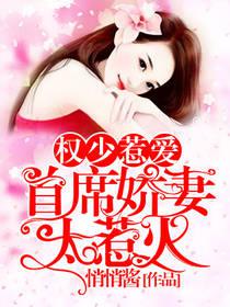 权少惹爱狂妻太招摇免费阅读