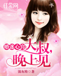 婚迷心窍:大叔,晚上见