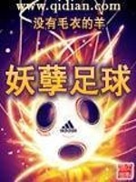 妖孽足球笔趣阁