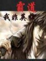 霸道之我非英雄完结了吗