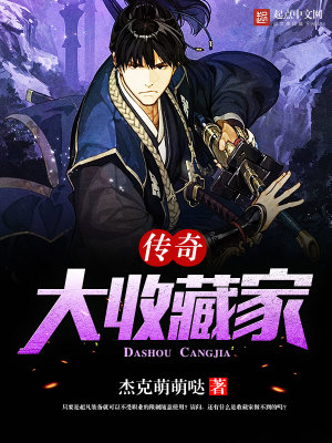 传奇大收藏家 小说