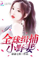 全球缉捕小野妻免费阅读