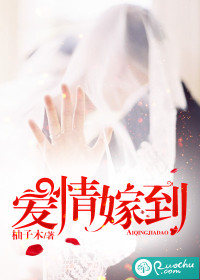 爱情嫁到慕言欢