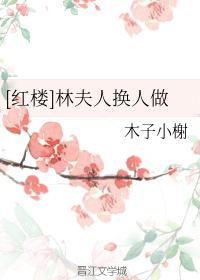 林夫人换人做