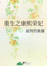 重生之康熙荣妃完结无防盗版