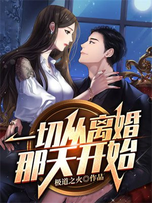 一切从离婚那天开始 小说
