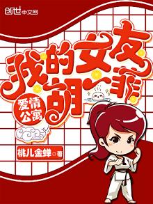 爱情公寓我的女友胡一菲笔趣趣