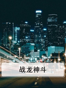 战龙神斗