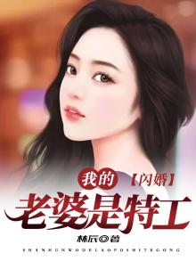 闪婚之老婆是黑客