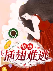 插翅难逃全文