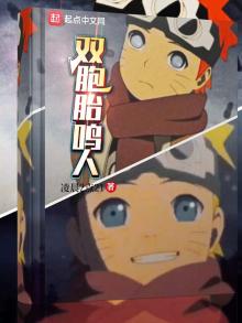 双胞胎鸣人超凡文学