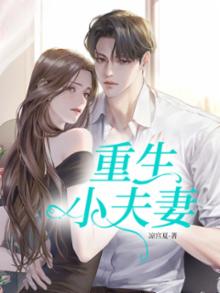 重生小夫妻军婚