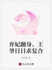 弃妃独宠:王爷要复婚 小说