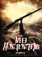重生东北军统一全国的小说