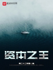 资本之王小说