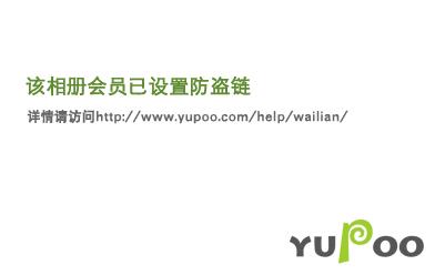 重生之网红教父小说