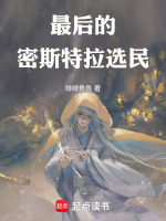 密斯特拉选民模板
