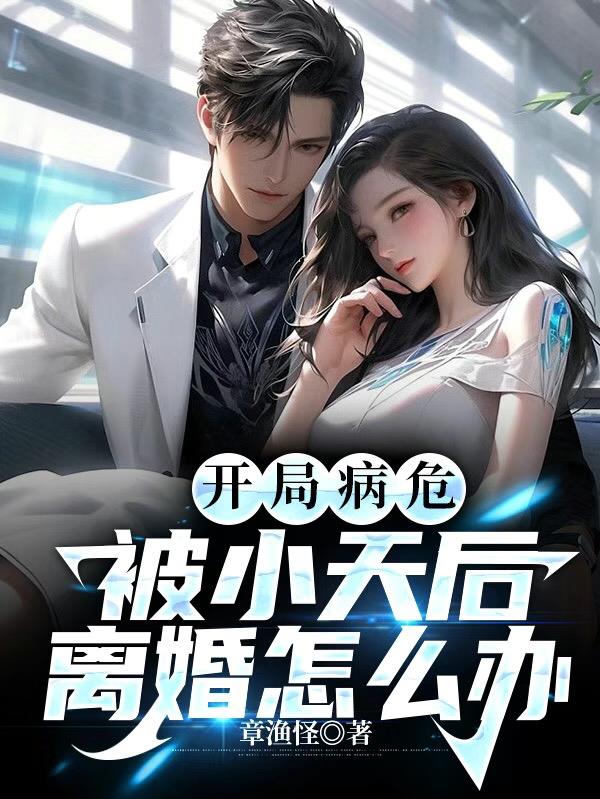 开局小天后离婚的明星小说