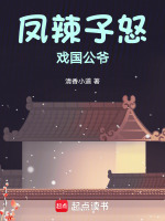 凤辣子故事名