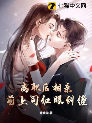 辞职后前上司小说