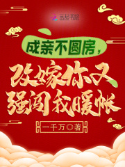 成亲不圆房,改嫁你又强闯我暖帐免费阅读