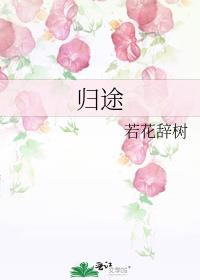 归途累之夜攻略