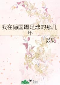我在德国踢足球的那几年TXT