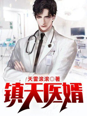 镇国医婿 叶天