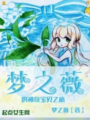 神奇宝贝:梦之旅