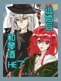 逃婚之后车文