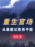 重生官场:从基层公务员干起最新章