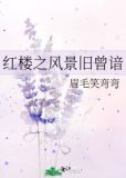 红楼之风景旧曾谙未完结了吗