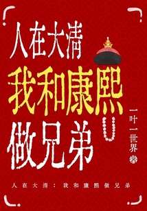 人在大清我和康熙做兄弟封面