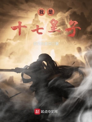我是17皇子