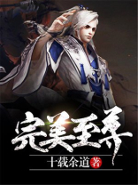 完美至尊小说